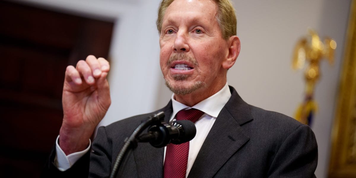 Oracles-Larry-Ellison-downplays-software-apocalypse-fears-We-think-the.jpeg