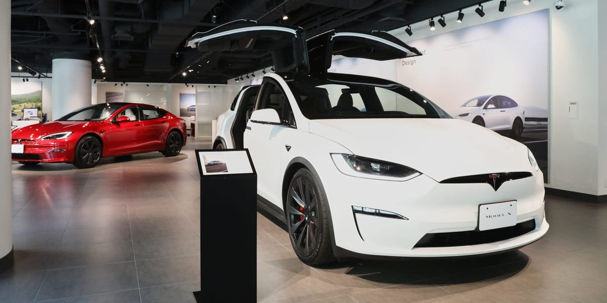 Elon-Musk-says-Tesla-only-has-a-few-hundred-Model.jpeg