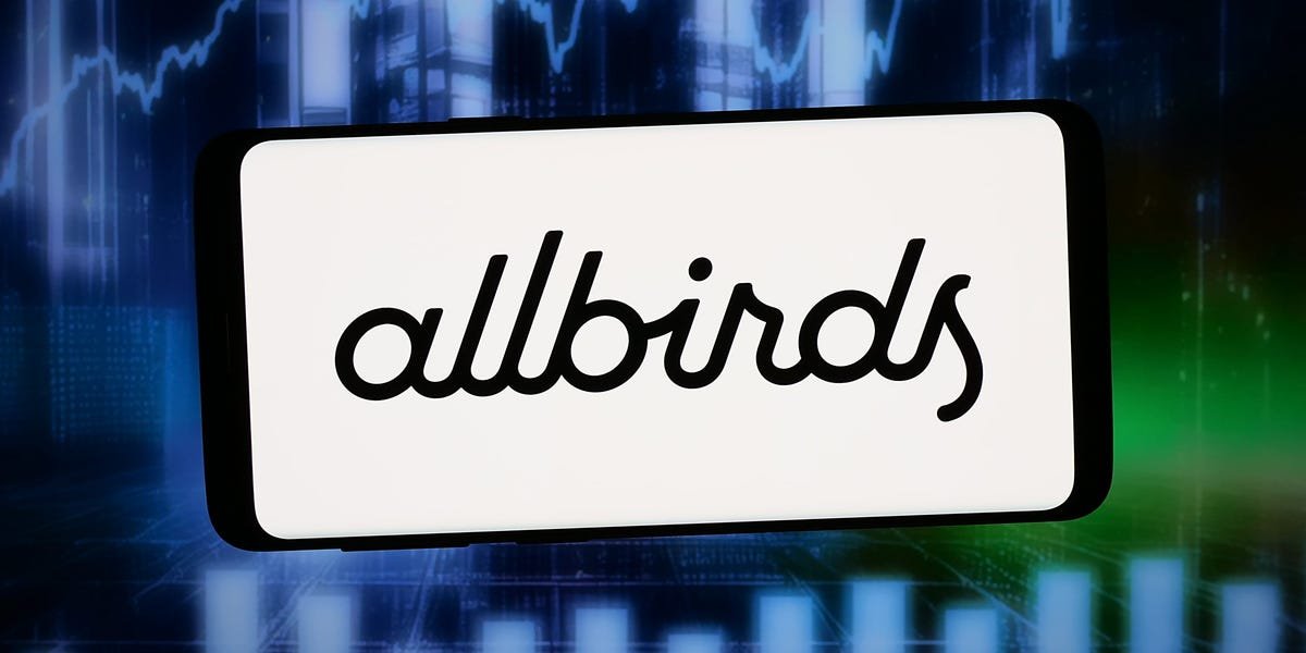 These-Allbirds-AI-jokes-are-as-fire-as-the-companys.jpeg